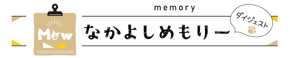 memory ʤ褷꡼ 